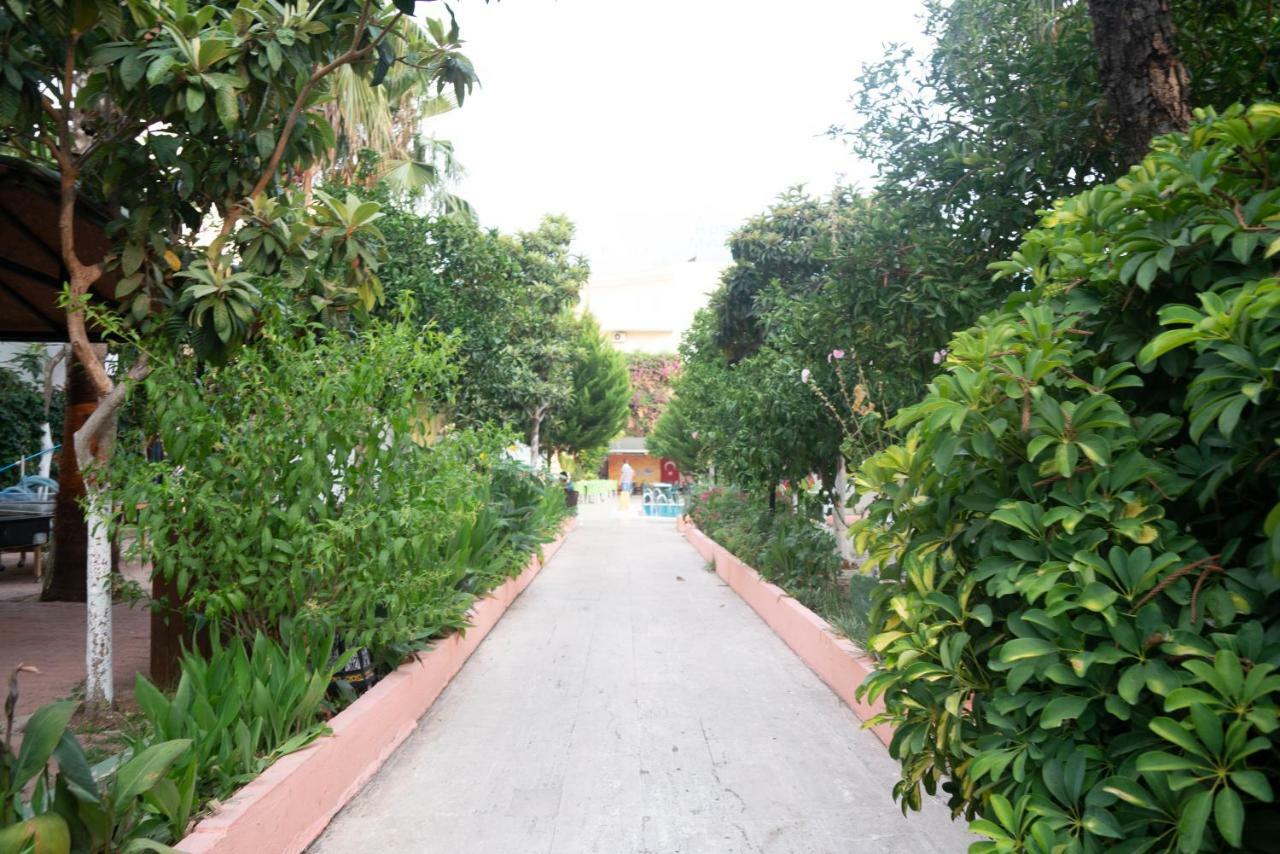 Marin Hotel 凯梅尔 外观 照片